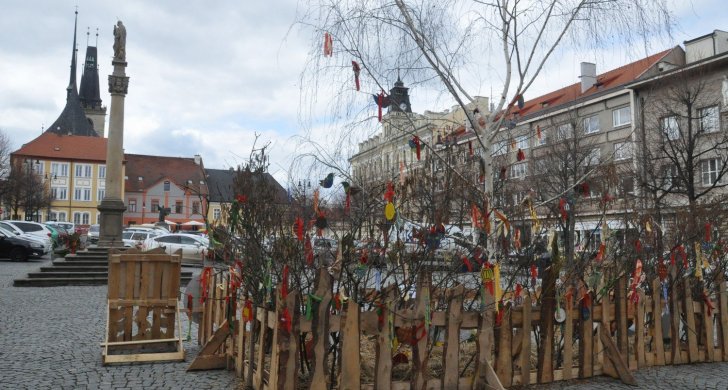 DSC_0704.JPG